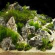 What kind of stones can be put in an aquarium?